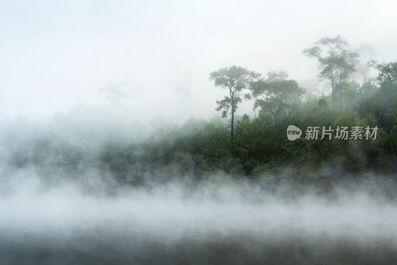 早上在泰国清迈的Baan Wat Chan，美丽的自然风景和宁静的湖景